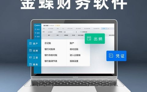 柠檬云财务软件和金蝶财务软件哪个好用？有什么区别？