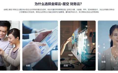 —般纳税人用金蝶哪个版本好？