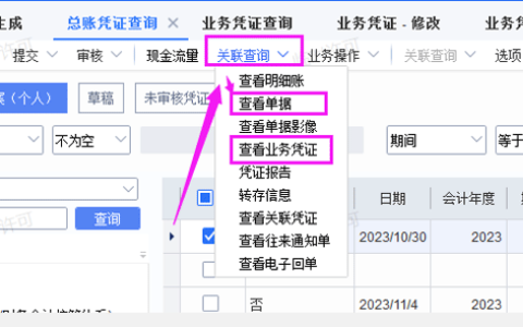 金蝶云星空业务凭证是什么？