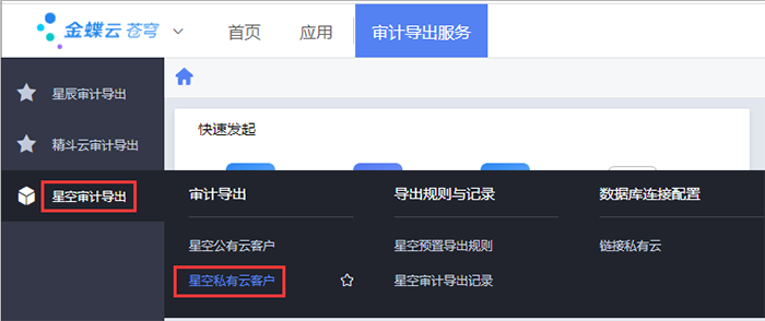 金蝶云星空审计导出服务项