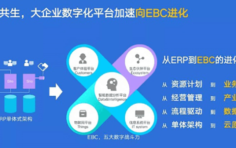 金蝶云星空和KIS云专业版有什么不同？