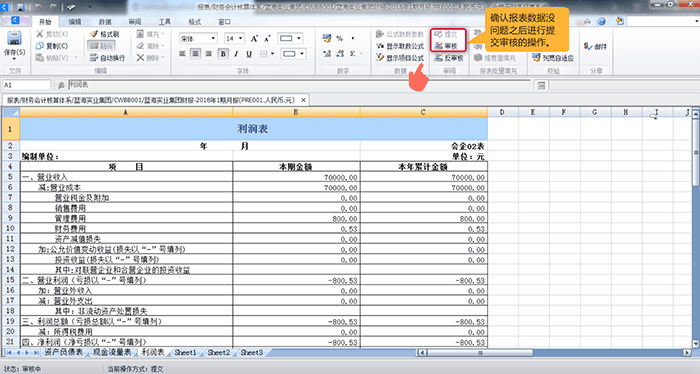 审核报表数据选项