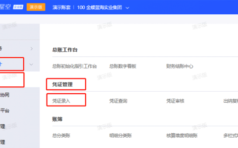 金蝶云星空怎么导入凭证？