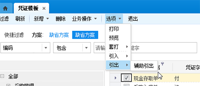 引出凭证模板选项
