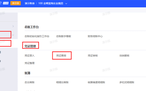 金蝶云星空怎么查询凭证？