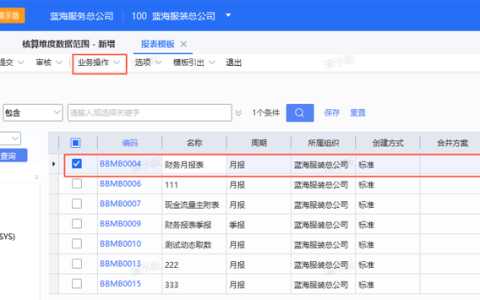 金蝶云星空报表模板设置（新建模版共享多组织）