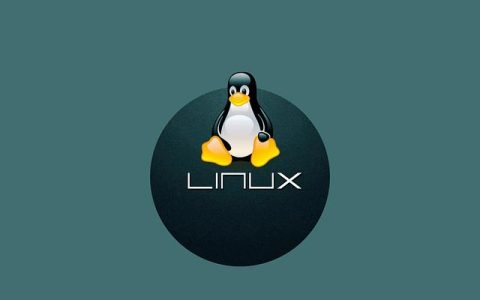 金蝶云星空支持linux吗？