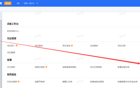 金蝶云星空数量金额明细账怎么查？如何打印？