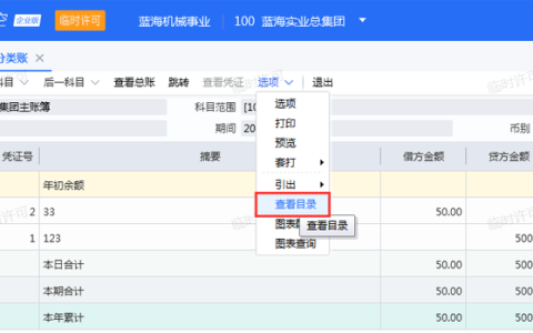 金蝶云星空明细账有目录吗？