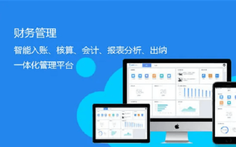 金蝶用友财务软件区别？各自有哪些优缺点？