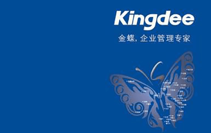 金蝶企业管理专家