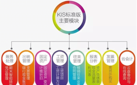 金蝶kis标准版适合什么企业使用？好用吗？