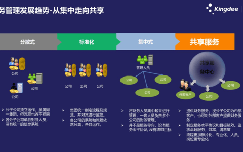 集团财务管控体系的搭建用金蝶哪款软件好？