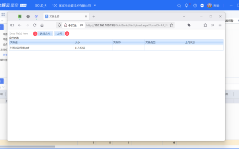 金蝶银企外汇业务文件上传步骤