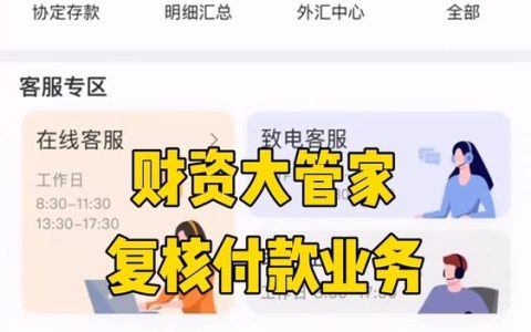 如何在宁波银行财资中复核付款和开票业务