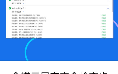 金蝶云星空安全检查步骤
